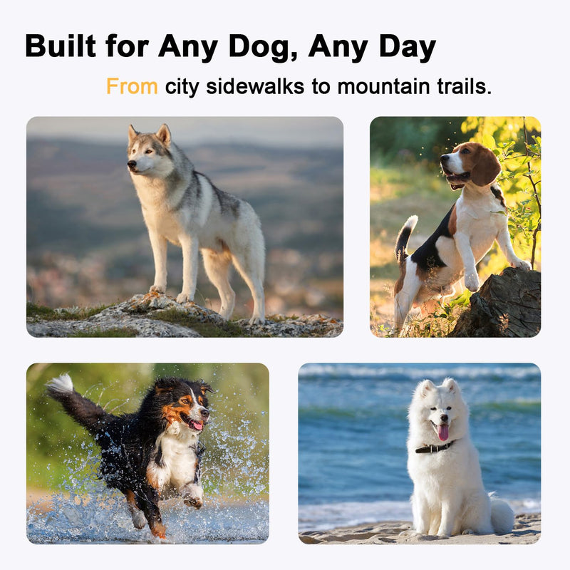 No Pull Dog Harness with Breathable Mesh Padding, Reflective Strips, Escape Proof Design, Quick Adjust Fit for Training & Walking Small, Medium, and Large Dogs (Yellow, L) Yellow - PawsPlanet Australia