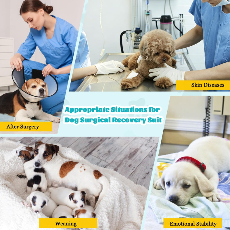 FEimaX Dog Surgery Recovery Suit, Puppy Surgical Bodysuit After Surgery for Female Male Dogs Recovery Suits Cone E-Collar Alternative Dog Onesie Pet Shirt for Small Medium Dogs Cats (L, Blue) L