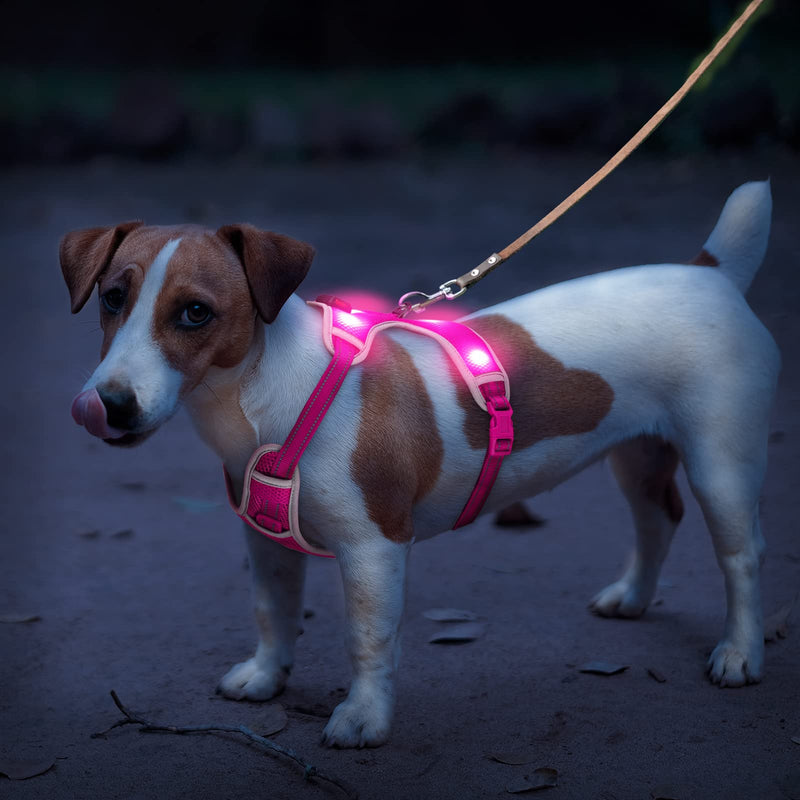 Glow in The Dark Dog Harness USB Rechargeable(Pink, L) Pink L: Chest Girth: 28-35.50"丨Neck: 22-31.5" - PawsPlanet Australia