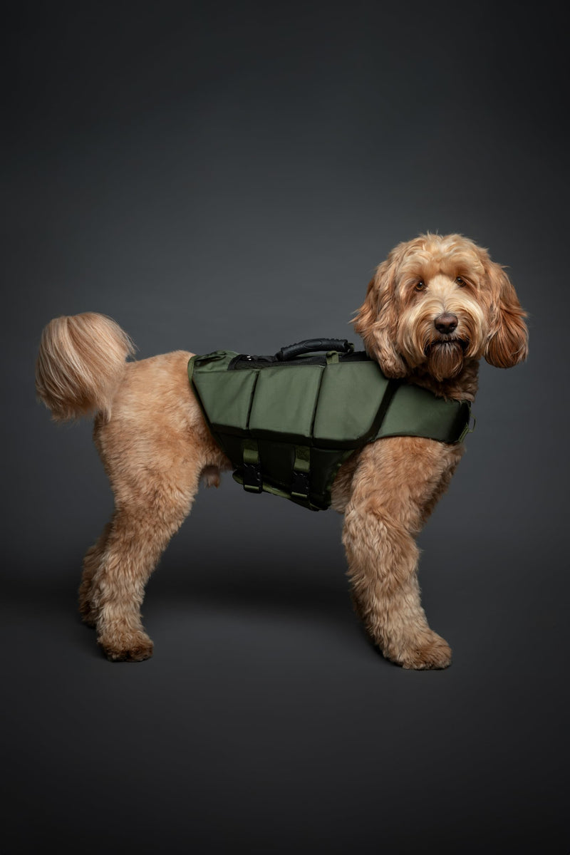 NOAH & PAW Dog Life Jacket, Human Standards Lifejacket Design, Dog Life Vest for Swimming and Boating, 3X Foam Support for Max Floating, Breathable Mesh, Salvavidas para Perros, Size M 3 Cubes - PawsPlanet Australia