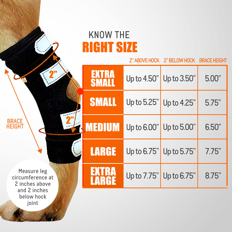 NeoAlly - 3-in-1 Long Rear Leg Hock Brace, Dog Leg Brace for Rear Leg with Rigid & Spring Inserts, Hock and Ankle Support, Dog Leg Sleeve with Reflective Straps, Large, 1 Pair