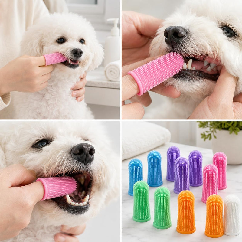 10-piece 360° finger toothbrush set for dogs & cats – soft dog toothbrush for effective teeth cleaning, anti-tartar care without risk of injury, hygienic & safe