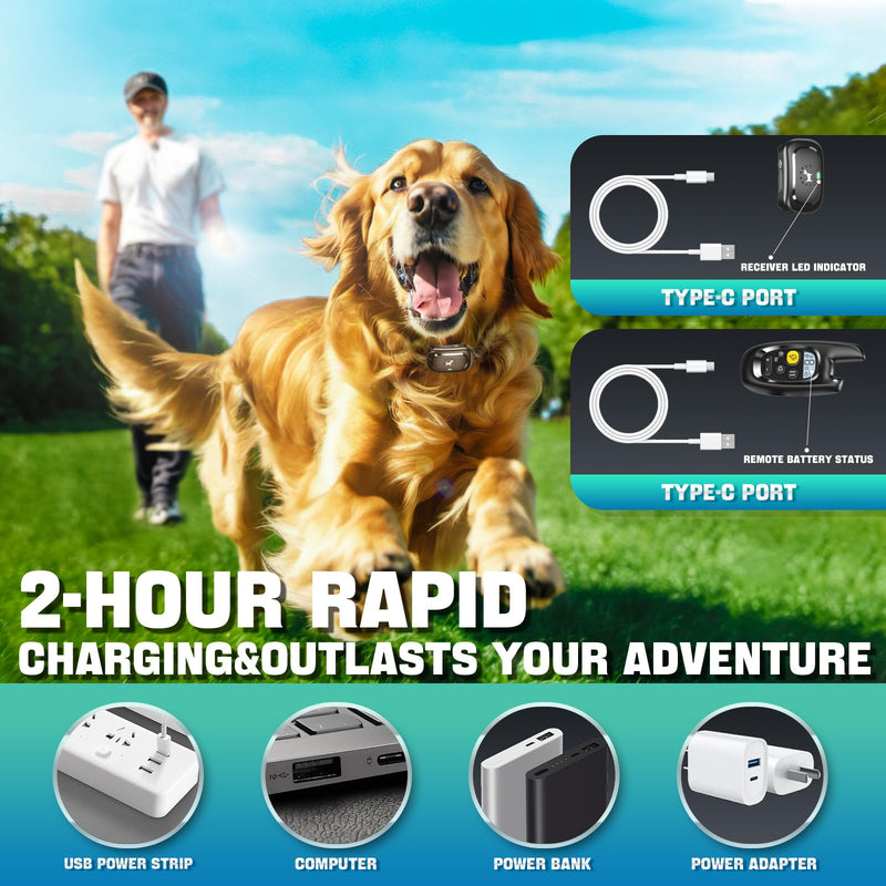 Dog Shock Collar with Remote Control- Training Collar for Small Medium Large Dogs, Electric Collar for Dogs Training Rechargeable, E Collar with Beep, Vibration & Shock-Lock Keypad Black 1-PACK
