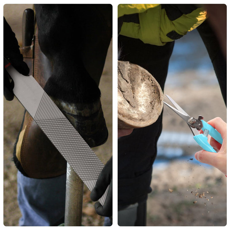 PEUTIER 3pcs Goat Hoof Trimmers and File, Nail Clippers for Goats Hoof Nippers Curved/Straight Head Sheep Hoof Trimming Shears Hoof Rasp Horseshoe File for Goat Sheep Lamb Pig Animal Hooves (Blue)