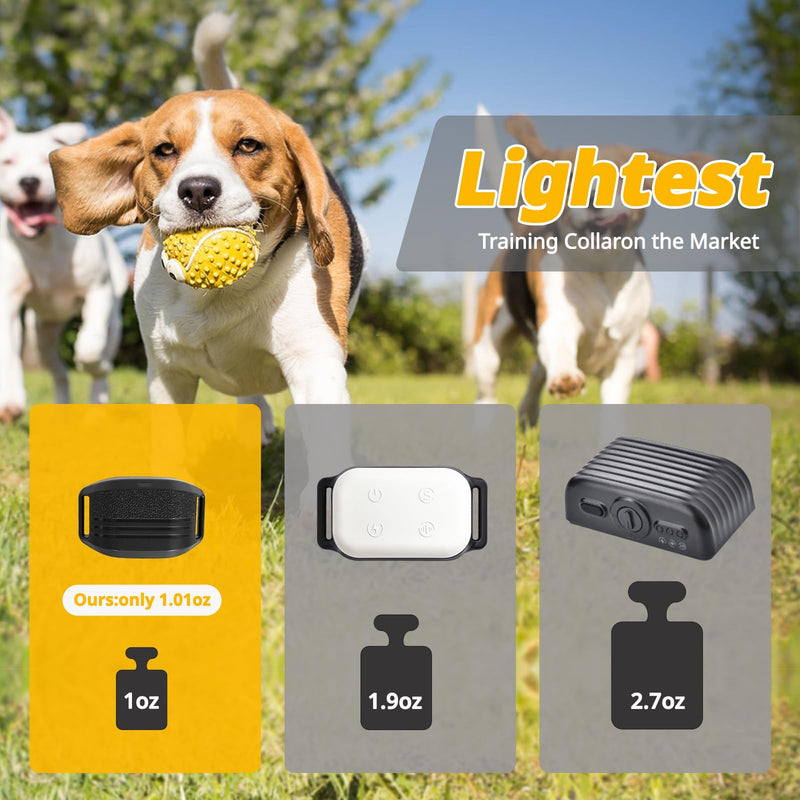 Ultra-Small Dog Shock Collar for 5-15 Pound Small Dogs - 1900Ft Range,Training Collar with Remote Control,3 Training Modes Beep,Vibration,Safe Shock, Waterproof Rechargeable E-Collar (Orange) Orange - PawsPlanet Australia