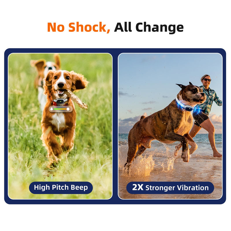 Ultra-Small Dog Shock Collar, Ultra-Light & Thin Dog Training Collar with 1300ft Remote, Tailored for Small Dogs 5-15lbs & Medium Dogs, 198-Level Precise Control, Waterproof, Rechargeable(White) White - PawsPlanet Australia