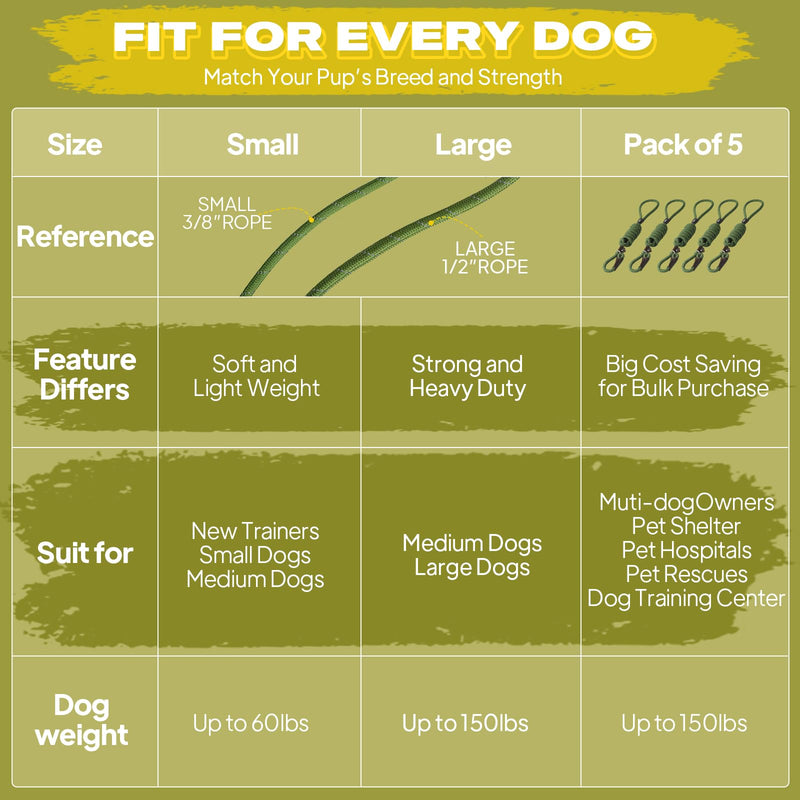 Fida Durable Slip Lead Dog Leash Bulk Pack of 5, Heavy Duty 1/2" x 6 FT Comfortable Strong Rope Slip Lead for Large, Medium & Small Dogs No Pulling Pet Training Leash with Highly Reflective (Mixed) Large(1/2"-6ft-pack of 5) Mixed Color - PawsPlanet Australia