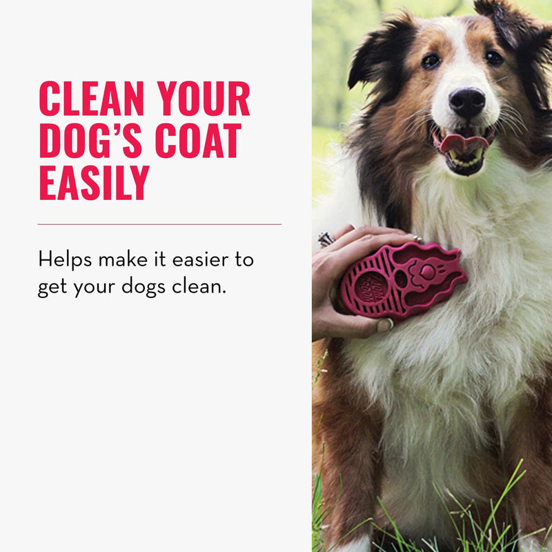 KONG - ZoomGroom Red - Dog Brush for Grooming and Shampooing - For Large Dogs Pink Standard Packaging