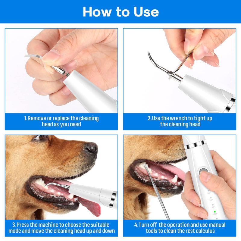 Dog Teeth Cleaning Kit for Pet Teeth Cleaning, Dog Plaque Remover for Teeth, 5 Modes Dog Tartar Remover for Teeth Care to Remove Stains Calculus, 10 in 1 Pet Cleaner Toothbrush (White) White - PawsPlanet Australia