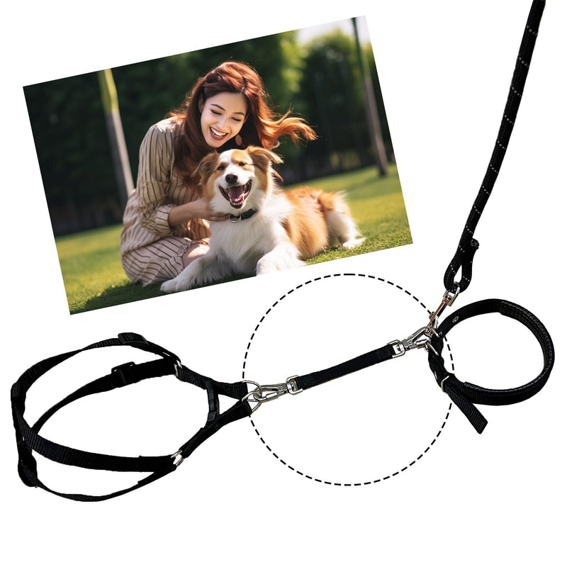Double Ended Collar Backup Clip for Dog Harnesses, Safety Clip for Prong Collar with Gentle Nylon Webbing for Light Dog DKG0913-new