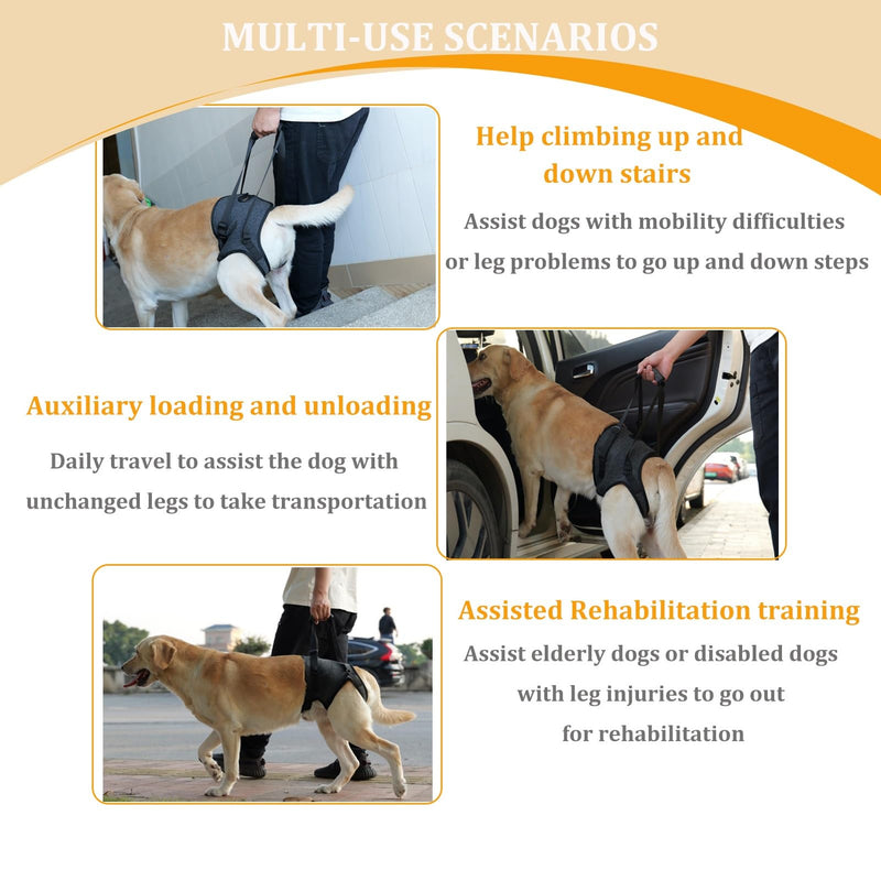 Dog Halter Harnesses, Adjustable Lift Hanress For Large Dogs, Dog Sling For Medium Dogs Hind Leg Support To Help Rehabilitate, Soft Padded Dog Support Harness For Elderly, Injured, Arthritic(X-Large) X-Large - PawsPlanet Australia