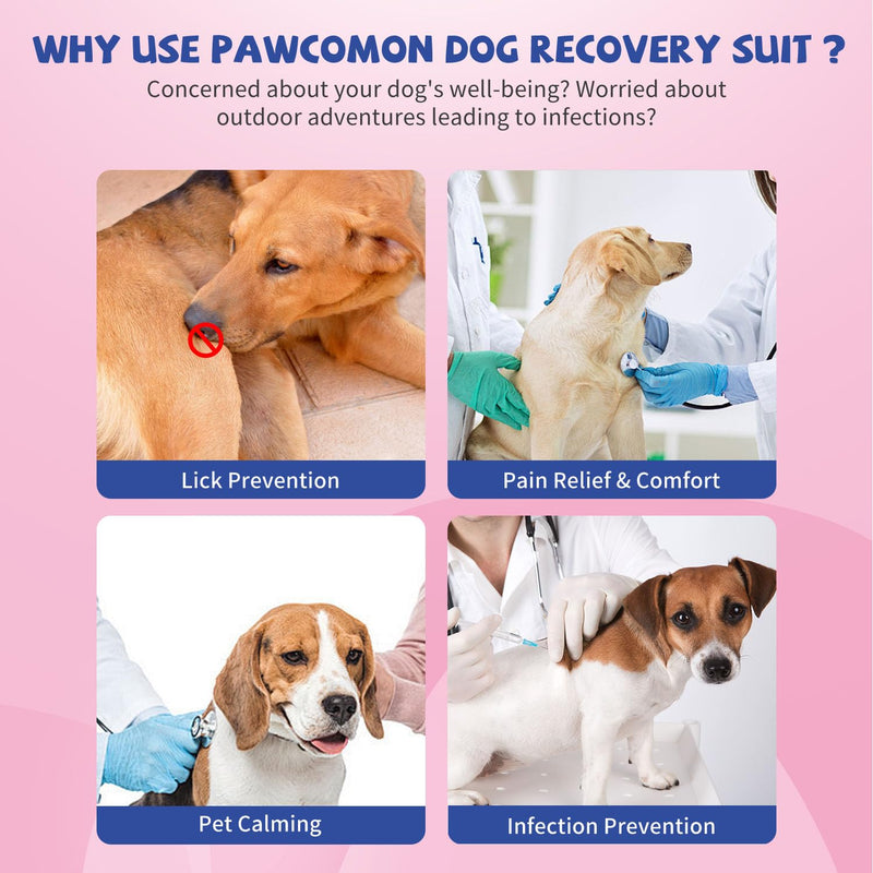 Dog Surgery Recovery Suit Puppy Surgical Clothes Abdominal Wounds Anti-Licking Dog Bodysuit Onesie Substitute E-Collar& Cone Pink Flower S Pink Flower(Zipper) - PawsPlanet Australia