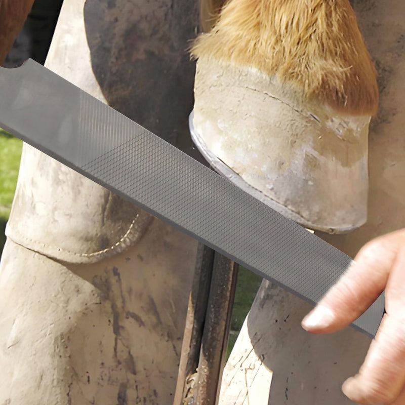 Double-Sided Hoof Rasp, 12'' Farrier File Tool with Ergonomic Rubber Handle, Carbon Steel Horseshoe File for Trimming Horse Goat Cow Donkey Hooves – Heavy-Duty Animal Hoof Care Tool 12''