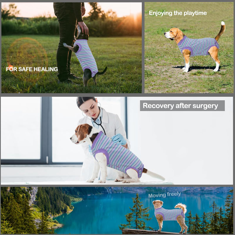 Wabdhally Dog Surgery Recovery Suit,Surgical Recovery Female Spay Suit for Medium Dogs Cats,Surgery Recovery Multi Purple Onesie M Multi Purple Striped - PawsPlanet Australia