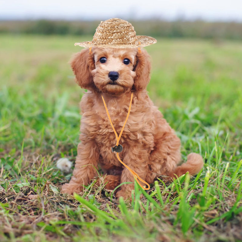 Pet Sombrero Straw Hat - Summer Hat Adjustable Hawaii Garden Sun Bucket Cap Beach Hat for Puppy Small Dogs Cats (Size L) Picture 1 - PawsPlanet Australia