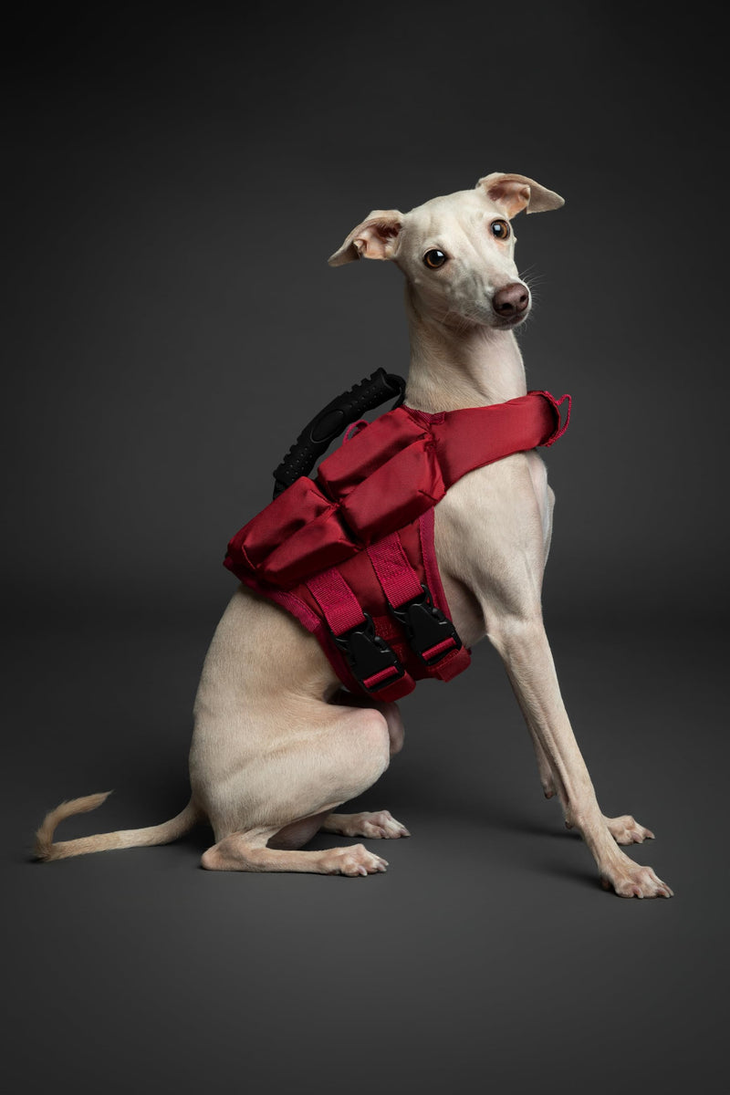NOAH & PAW Dog Life Jacket, Human Standards Lifejacket Design, Dog Life Vest for Swimming and Boating, 3X Foam Support for Max Floating, Breathable Mesh, Salvavidas para Perros, Size XS 4 Cubes - PawsPlanet Australia