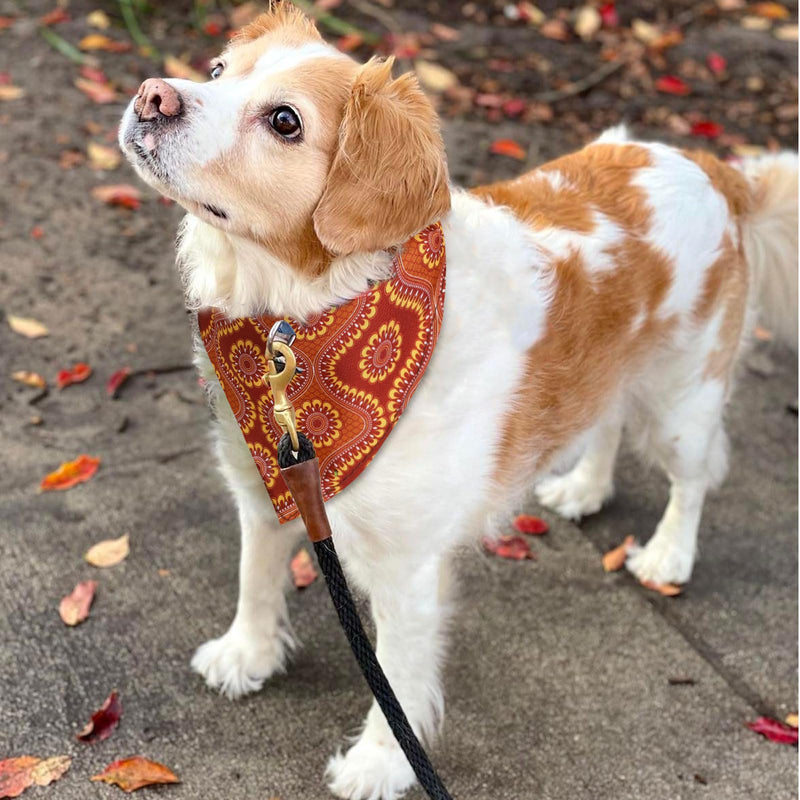 72 Packs Dog Bandanas Bulk Buffalo Plaid Cat Bandana Summer Scarf Triangle Fruit Drool Bibs Washable Adjustable Kerchief Dog Cat Bandana for Beach Small Medium Pet Supplies(Rhombus) Rhombus - PawsPlanet Australia