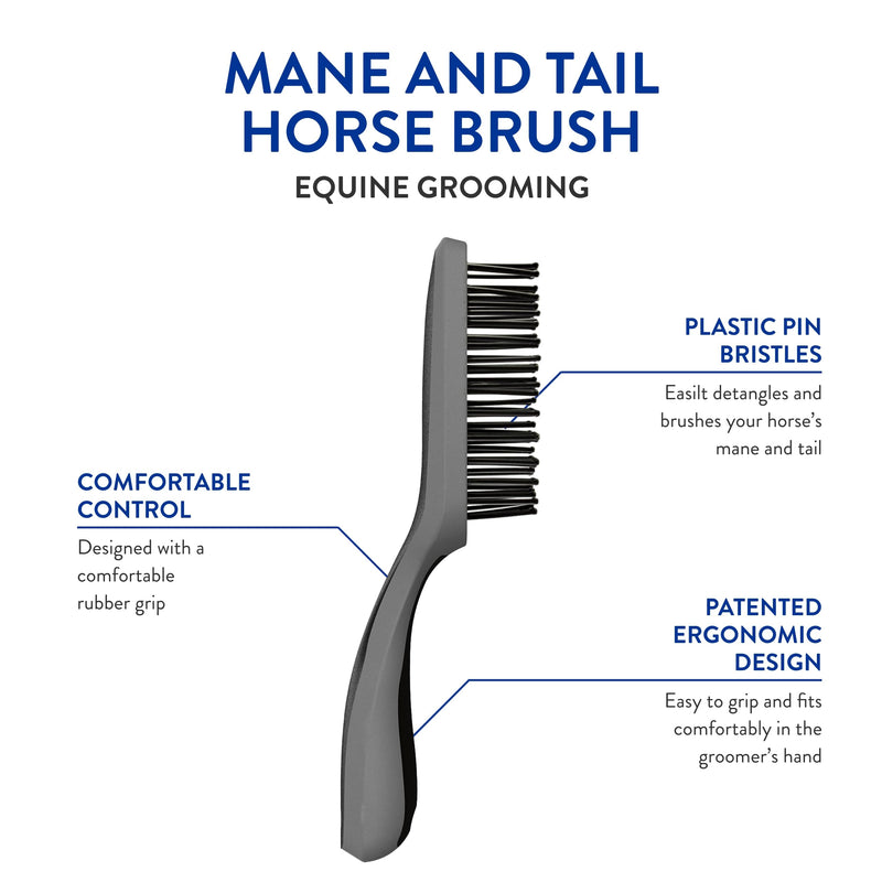 WAHL Professional Animal Equine Grooming Tool - Mane & Tail Brush (#858709-100) for Horses - Black - PawsPlanet Australia