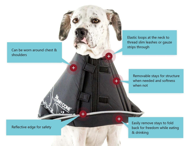 All Four Paws Comfy Cone Pet Cone for Dogs, Cats, Medium, Black - Comfortable Soft Dog Cone Collar Alternative for After Surgery, Wound Care, Spay, Neuter - Dog and Cat Recovery Elizabethan-Collar M(Neck to Nose 8")