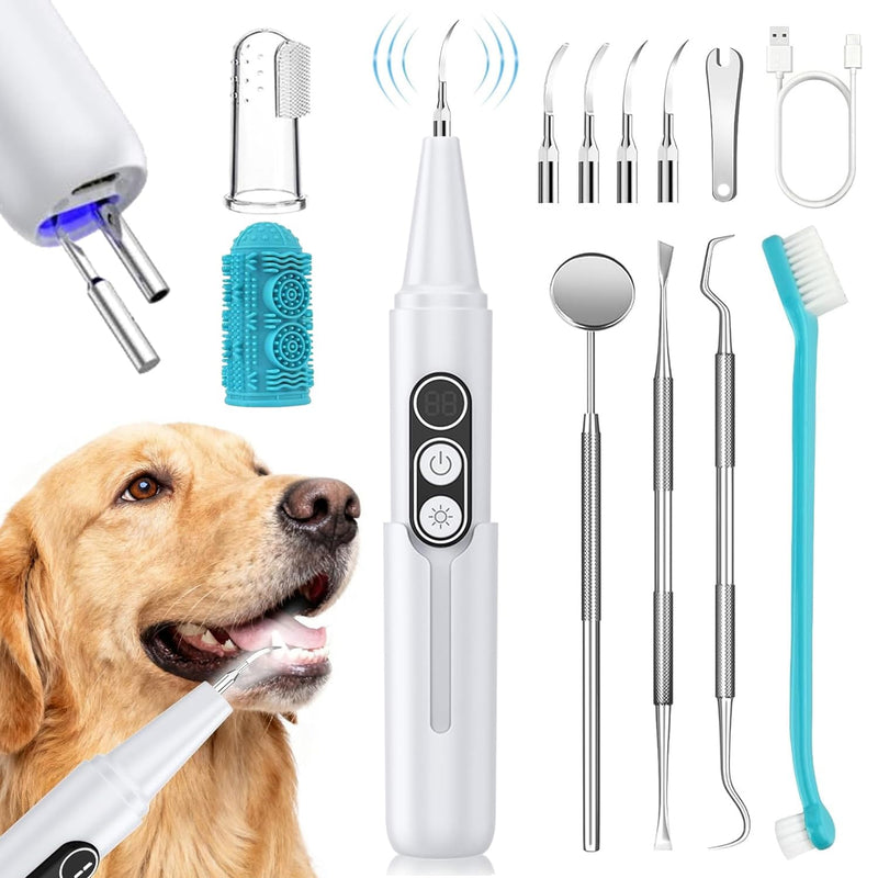 Dog Plaque Remover for Teeth, Pet Ultrasonic Cleaner with LED Light & Stand, 5 Modes, Pet Teeth Cleaning kit, Suitable for Dogs and Cats