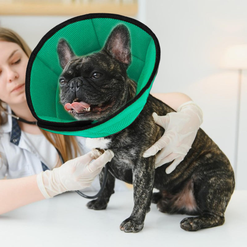 Medium Dog Cone Recovery Collars, Adjustable Dog Cat Cone After Surgery Prevent Licking Wounds, Breathable Mesh Male Dog Surgery Soft Cones for Medium Large Dogs, Blue-M Blue Green - PawsPlanet Australia
