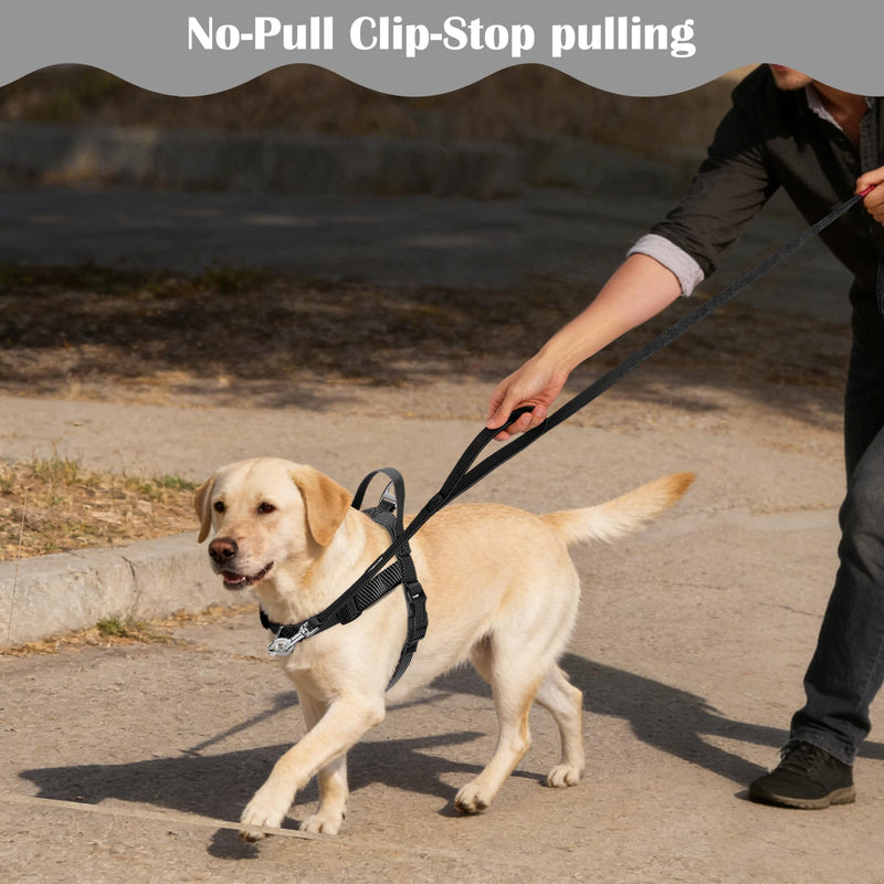 Annchwool No Pull Dog Harness with Front Clip and Easy Control Handle-Belly & Chest Adjustable Dog Harness and Leash Set for Medium Large Dogs-Heavy Duty Vest Harnesses Easy for Walking(Black,L) Black L - PawsPlanet Australia