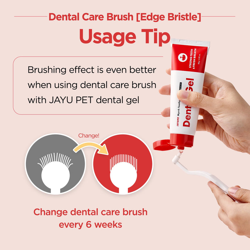 JAYU PET Dental Care Brush (Edge Bristles) 1ea - Micro Round Head Dog Toothbrush, Cat Toothbrush, Dental Care, Perfect for Kitten & Small Breed with End-tuft Diagonal-Shaped Bristle & Easy Grip Handle Edge Bristles 1 Count (Pack of 1) - PawsPlanet Australia