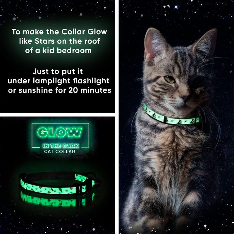 Pawtitas Glow-in-The-Dark Cat Collar – Adjustable Safety Collar with Breakaway Buckle & Removable Bell, Orange - PawsPlanet Australia