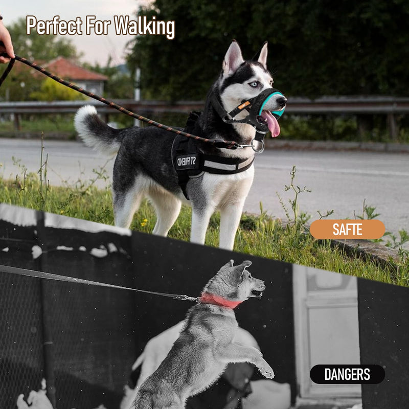Dog Head Collar with Soft Fabric, Head Harness Stops Dog Pulling, Head Leash for Small Medium Large Dogs Walking(M, Black) M - PawsPlanet Australia