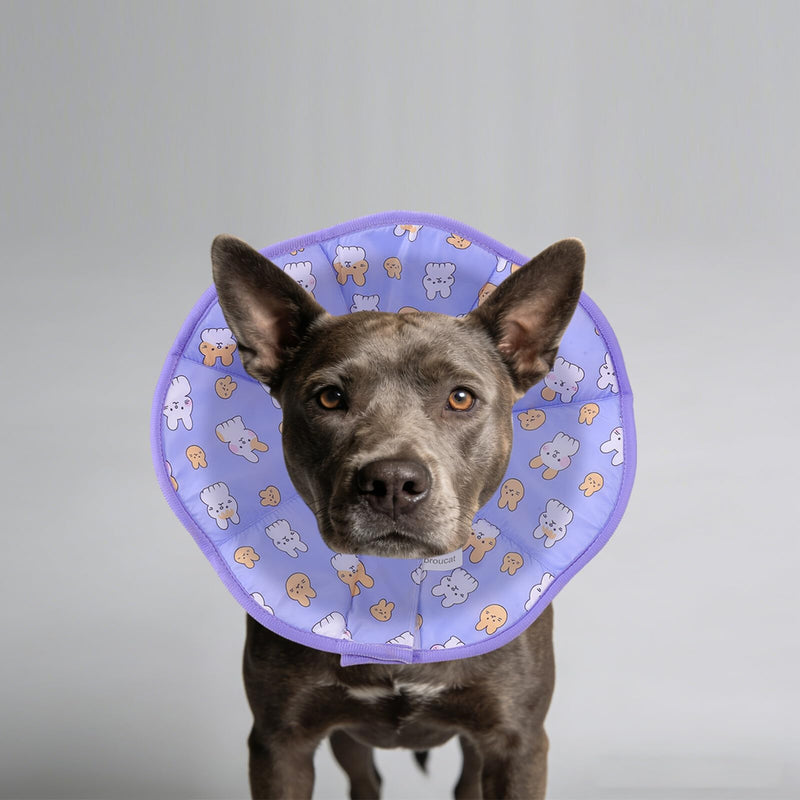 Anti-Leak Collar for Small Dogs and Cats, Adjustable Post-Operative Recovery Collar, Soft Conical Collar Made of Lightweight Material, 32 x 36 cm, Post-Surgery Protection