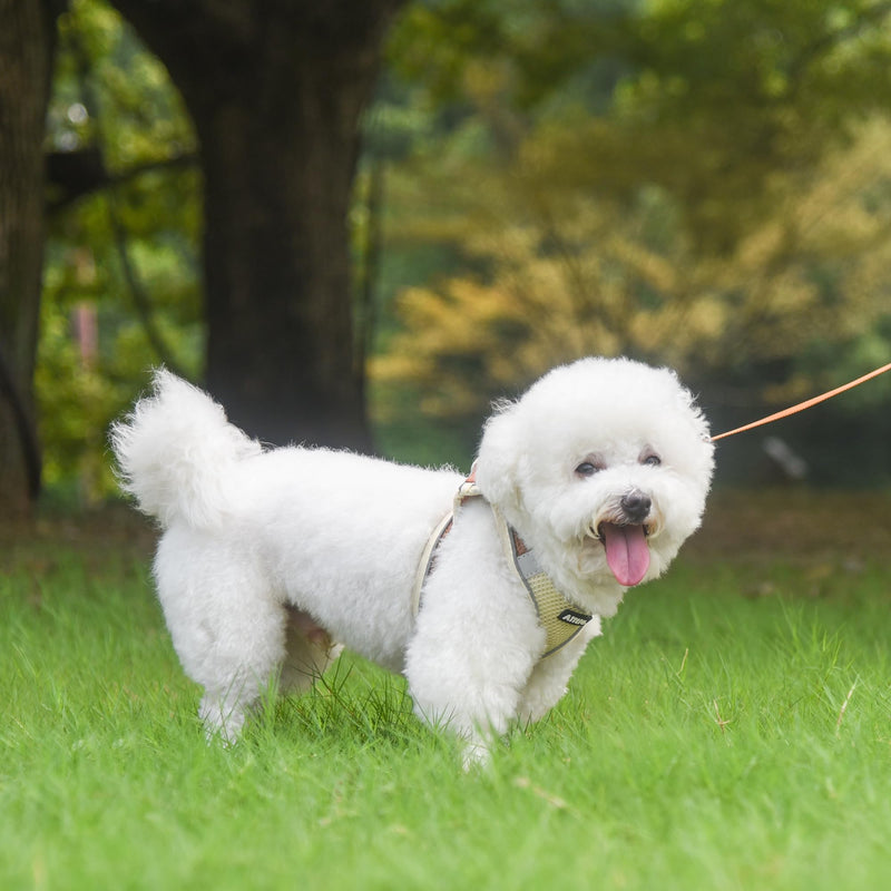 AIITLE Step in Dog Harness and Leash Set - Summer No Pull Escape Proof Vest Harnesses with Soft Mesh and Reflective Bands, Adjustable Pet Outdoor Harnesses for Small and Medium Dogs Beige M M(Chest: 16 - 18") Beige-Brown - PawsPlanet Australia