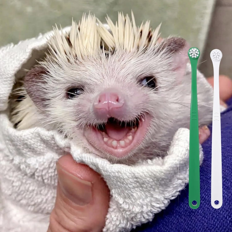 2 Pcs Pet Toothbrush for Hedgehog Small Animal Toothbrush Mini Head Soft Bristles Gentle Pet Toothbrush for Small Pets Dental Care Hedgehog Supplies Hedgehog Grooming Accessories (2 Pack) 2 Pack - PawsPlanet Australia