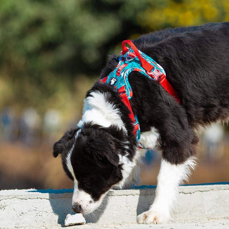 TRUE LOVE Dog Harness No Pull Nylon Reflective Soft Camouflage Pet Harness for Small Big Dogs Running Training TLH5653 Camouflage Blue L - PawsPlanet Australia