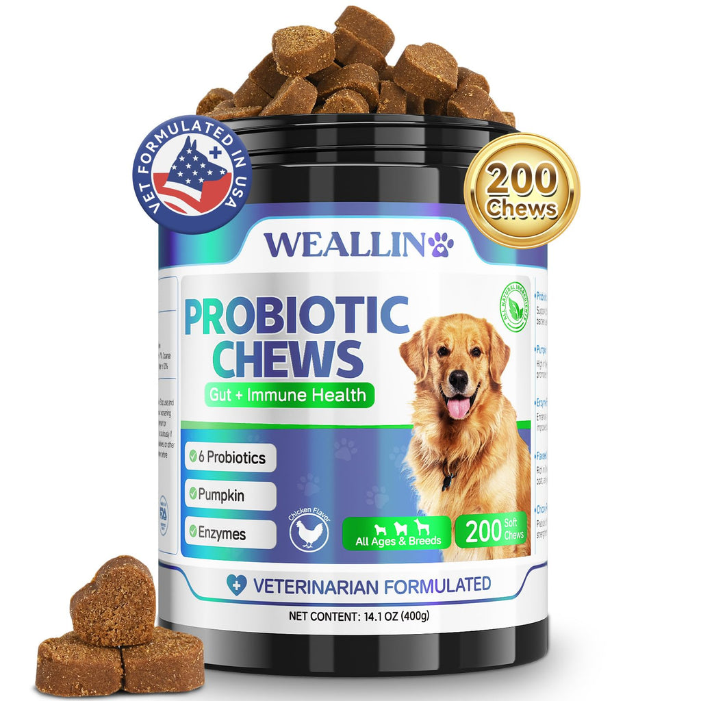 Probiotics for Dogs - Dog Probiotic Chews 200 Chews for Gut Health, Digestive Support & Itchy Skin Relief Pet Diarrhea Gas Treatment - Probiotics, Digestive Enzymes, Prebiotics, Pumpkin