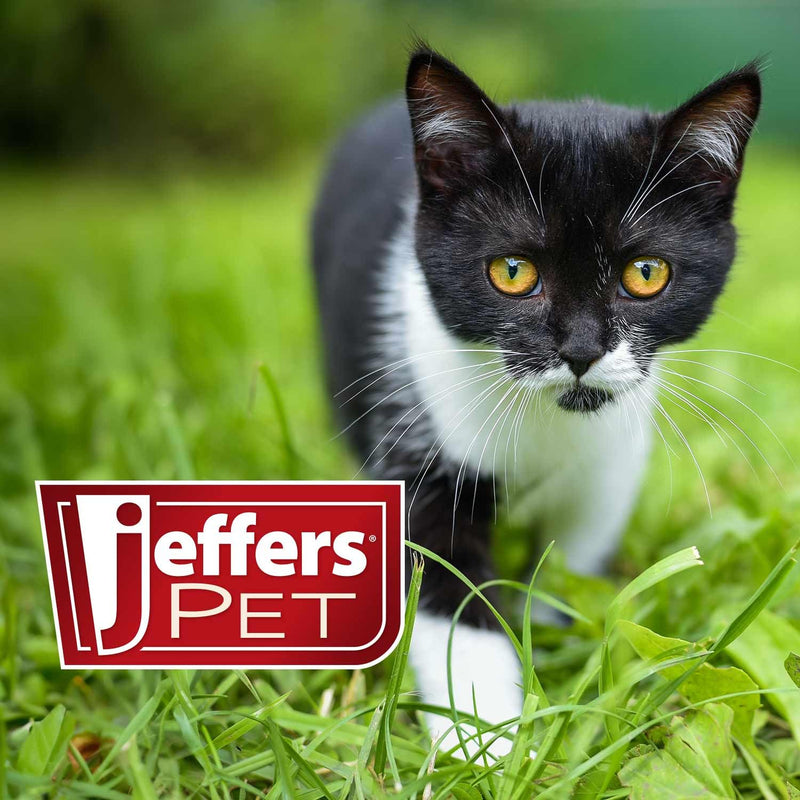 Jeffers Pet Cat Collar with Bell – Durable Breakaway Plastic Buckle Safety Collar for Kittens & Adult Cats, Adjustable Single-Ply Nylon, Indoor & Outdoor Use – Hello Mouse Design, Blue Hello Blue - PawsPlanet Australia