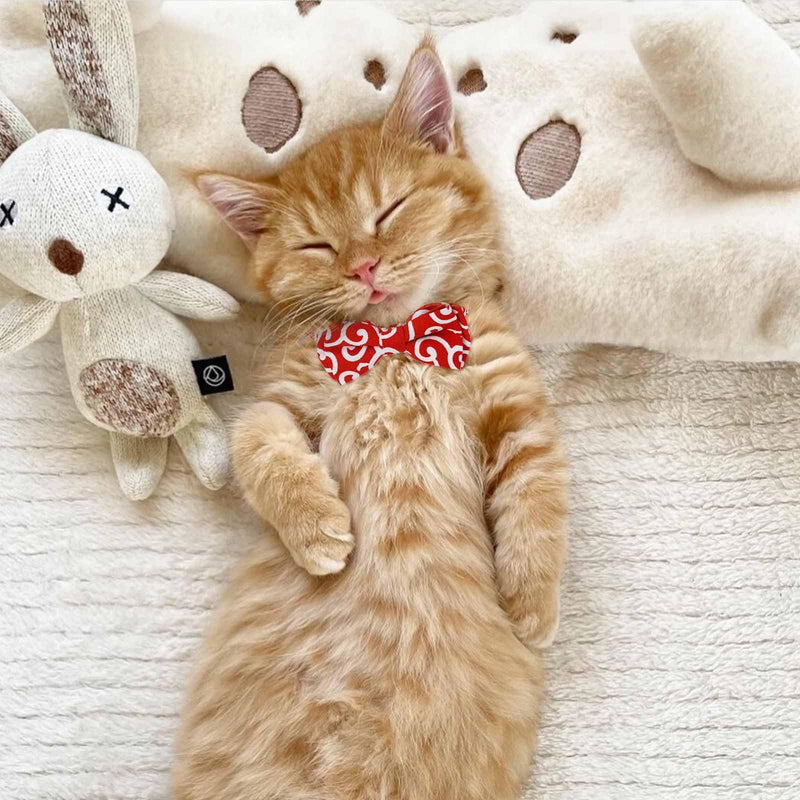 Campsis 2PCS Cat Collars with Bowtie Breakaway Cat Collar with Bell Adjustable Safety Kitten Collar with Removable Bow and Bell for Boy Cats Girl Cats - PawsPlanet Australia