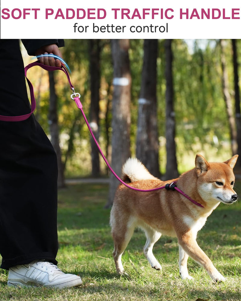 Joytale Tangle-Free Slip Leads for Dogs, 6 FT Slip Leash with Padded Double Handle, Reflective Nylon Training Leash for Small Medium Dogs 15-40 Lbs, Hot Pink 6 Feet(15-40lbs) - PawsPlanet Australia