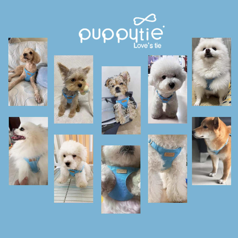 Puppytie No Pull Dog Harness with Multifunction Dog Leash,Soft Adjustable No Choke Escape Proof Pet Harness Vest for Medium Dogs or Large Dogs,Ocean Blue,M Ocean Blue M(16.5-31lb） - PawsPlanet Australia