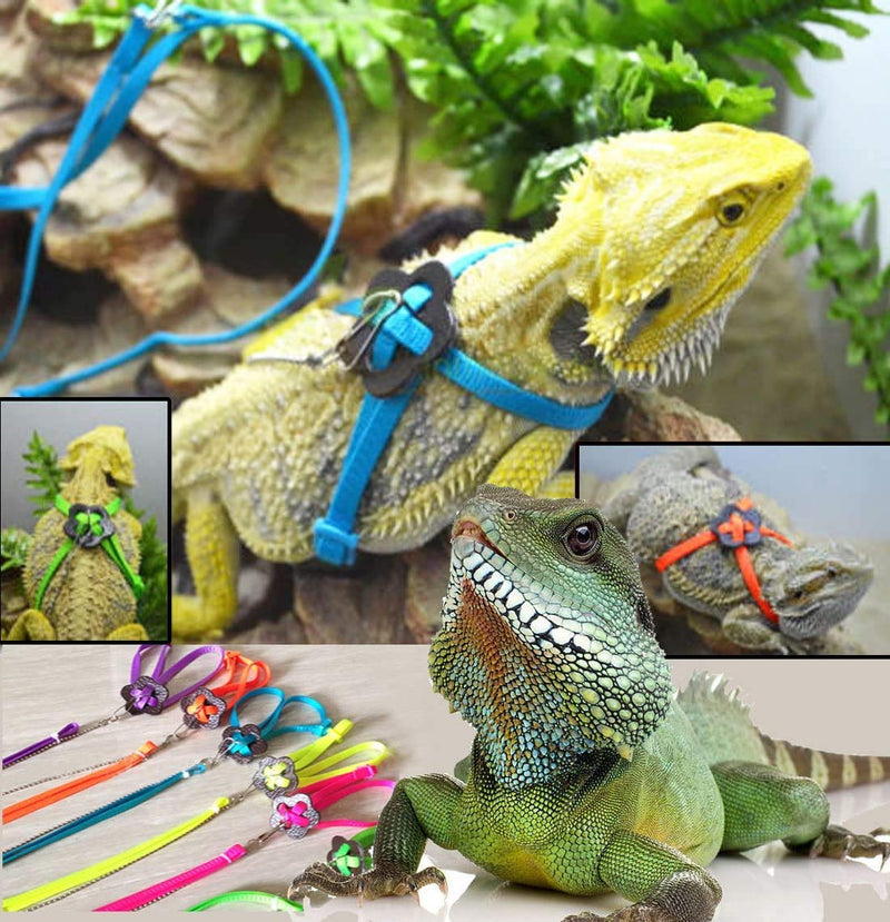 Lizard Leash Bearded Dragon Harness Adjustable Reptile Lizard Harness Leash Parrot Harness Turtle Lizard, Suitable for Gecko Hamster Kitten Small Animal Outdoor Walking - Black