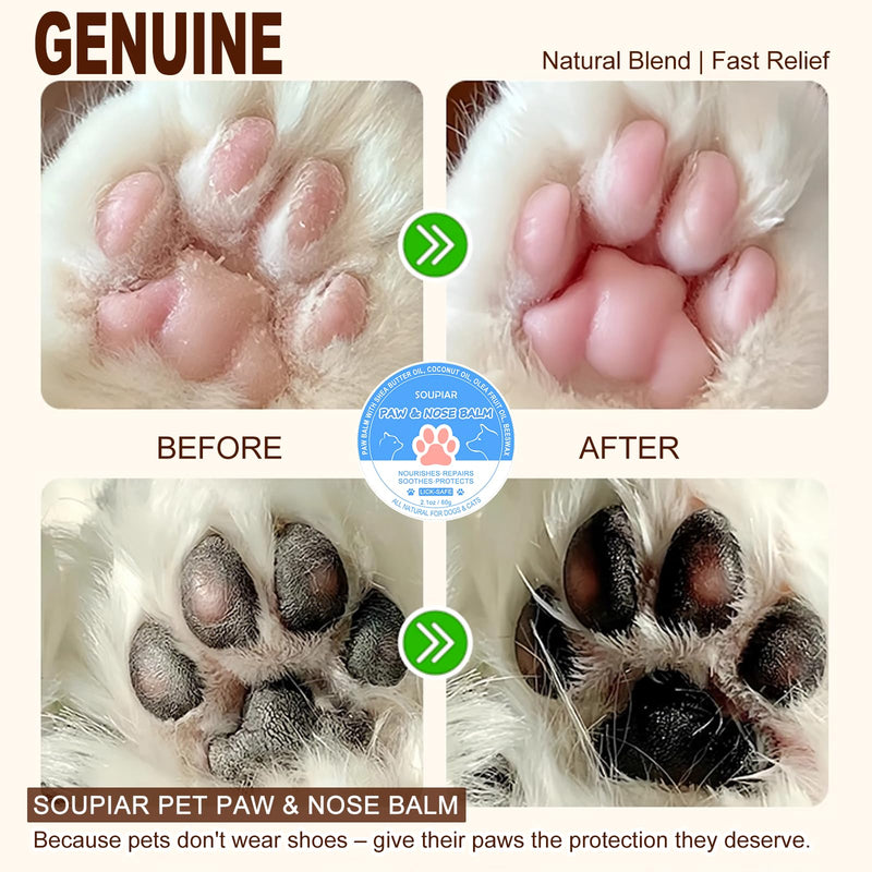 Vet-Approved Dog Paw Balm & Nose Butter 2.1oz - Lick-Safe All-Natural Moisturizer with Coconut Oil, Nourishes Dry Paws & Noses, Protects Against Hot Pavement & Winter Cold for Dogs, Cats & Horses - PawsPlanet Australia