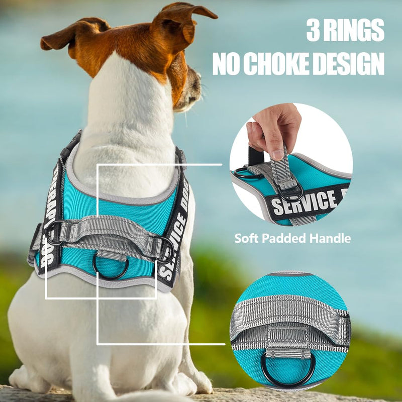 Dog Vest Harness and Leash Set, Animire Reflective Service Dog Vest with 10 Patches, 3 Rings No Choke Pet Vest for Leash Placement, in Training Dog Harness for Small Medium Large Dogs(Teal,XL) X-Large(Chest: 23.5-34.5 Inch) Teal - PawsPlanet Australia