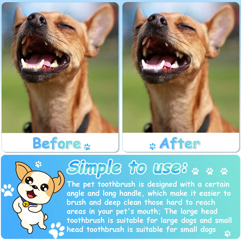 80 Pcs Small Dog Toothbrush Pet Tooth Brush Dual Headed Dental Hygiene Brushes Soft Grooming Bristles Long Handle Tooth Brush for Cat Puppy Kitten Teeth Cleaning Dental Oral Cleaning - PawsPlanet Australia