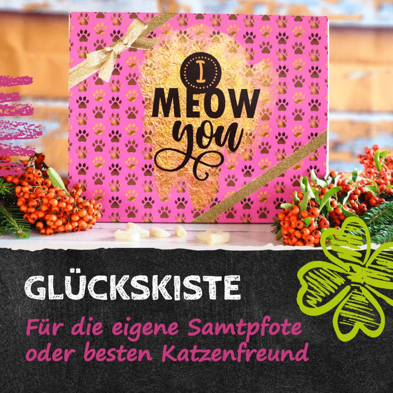 Qchefs Gl√ºckkiste Cat Cuddly Cloth - Toothbrush Flips as Dental Care Treat - Hypoallergenic - Low Calorie - Gift Set with Cuddle Cloth and Stainless Steel Tin - Sustainable Cat Gift Gl√ºckkiste Cuddly Cloth Cat