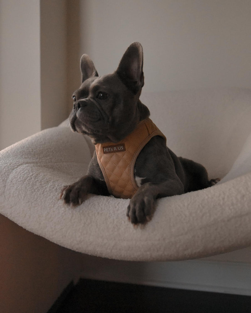 Step-in Dog Vest Harness Classic Quilted Design Vegan Leather Reflective Lightweight Breathable Mesh Soft White Taupe Brown Durable Stylish Pet Accessory (Tan Brown, Small) Tan Brown Small: Neck=9.4-11.4''/Chest=14.5-17'' - PawsPlanet Australia