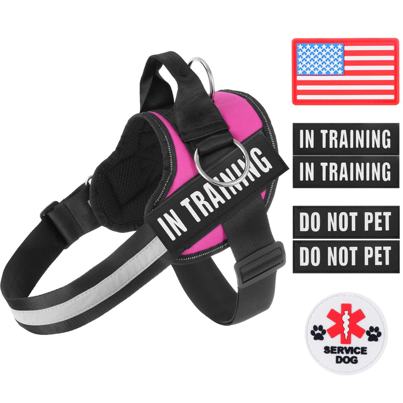 Essential Dog Harness, No Pull Pet Harness with 3 Side Rings for Leash Placement, No Choke, Reflective, Adjustable Pet Vest, Easy On-Off & Improved Control Handle, Training, Walking, Running L(Neck:19-26",Chest:25-33") Rose - PawsPlanet Australia