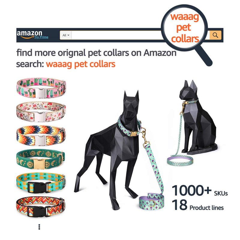 Waag Crescent Moon Galaxy Space Cat Collar - Multiple Designs, Safety Breakaway Collar (Teal Webbing, XXS 6.5"-10" Neck) 6.5-10 Inch (Pack of 1) Teal Webbing - PawsPlanet Australia