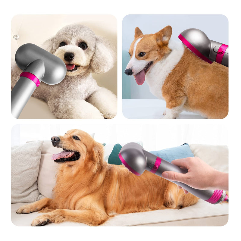 Dog Hair Dryer | 2 in 1 Pet Grooming Hair Dryer Blower with Replaceable Slicker Brush | Adjustable Temperature | Professional Pet Blowing Dryer | for Small and Medium Dogs and Cats - PawsPlanet Australia