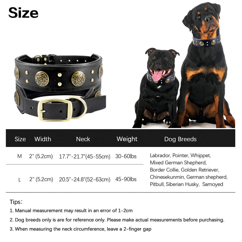Leather Dog Collar for Medium Dogs, 2" Wide Durable Thick Strong Genuine Leather Spike Dog Collar with Metal Buckle, Padded Collar with Studded Design for Girl Boy Dogs (Black,M) M: 17.7”- 21.7”(45-55cm) Black - PawsPlanet Australia