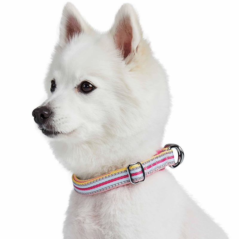Blueberry Pet Safety Dog Collar with Dual D-Rings | 3M Reflective Multi-Colored Adjustable Collar in Pink and Pastel Blue | Soft Nylon Dog Collar for Active Large Dogs - PawsPlanet Australia