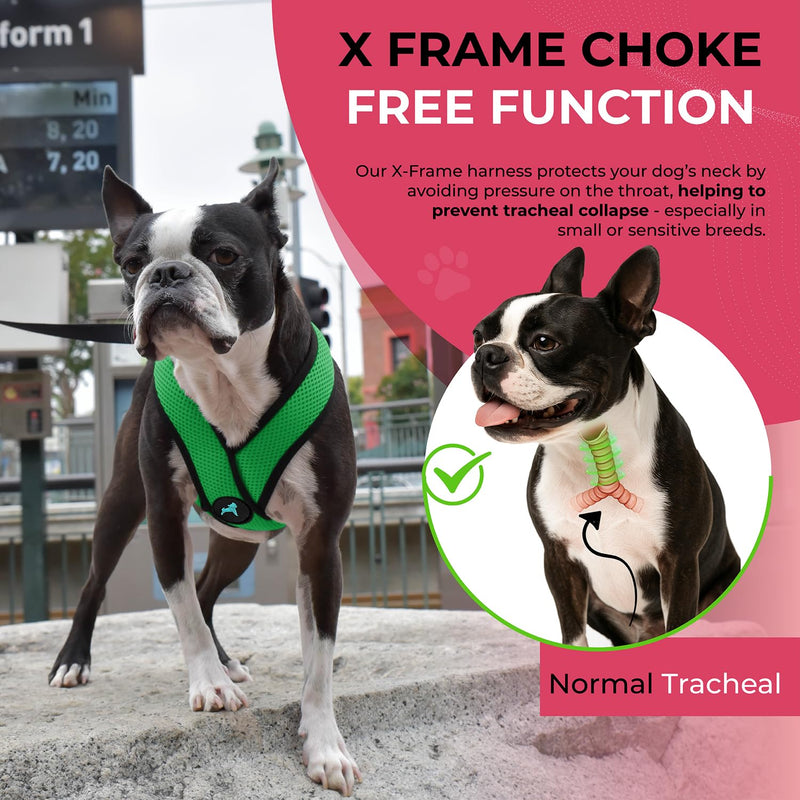 Gooby Comfort X Head In Harness - Hunter Green, X-Large - No Pull Small Dog Harness Patented Choke-Free X Frame - On the Go Dog Harness for Medium Dogs No Pull or Small Dogs for Indoor and Outdoor Use X-Large Chest (20.5-28")